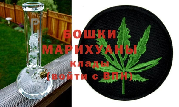 молекула духа Карпинск